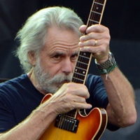 Weir Looking at You